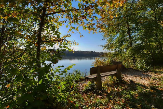 頂級選手 頂級選手