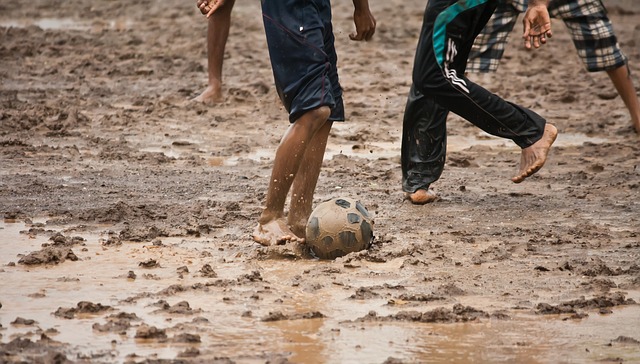 總裁維爾茨 總裁維爾茨